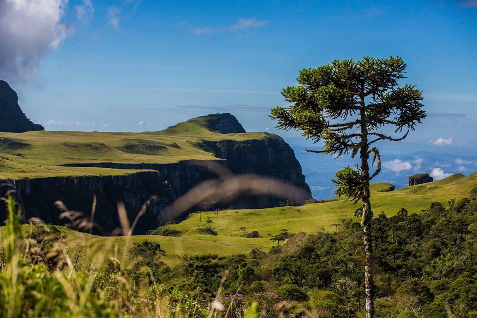 Pousada Fazenda Da Invernada Urubici Exteriér fotografie